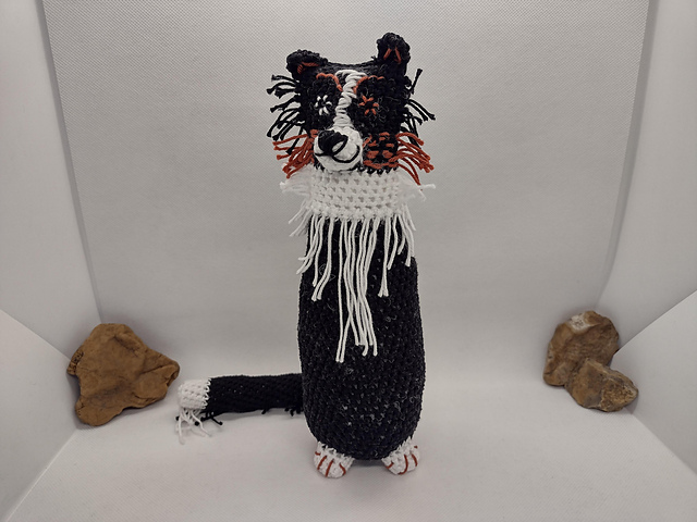 Jimmy the border collie