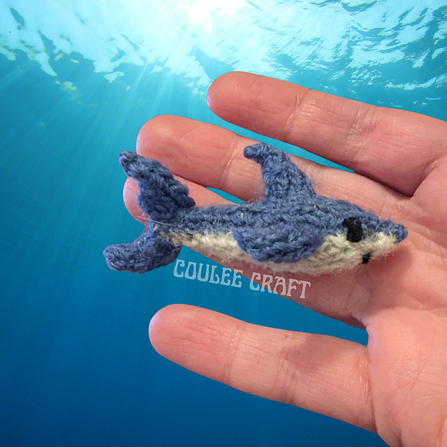 Tiny Great White Shark