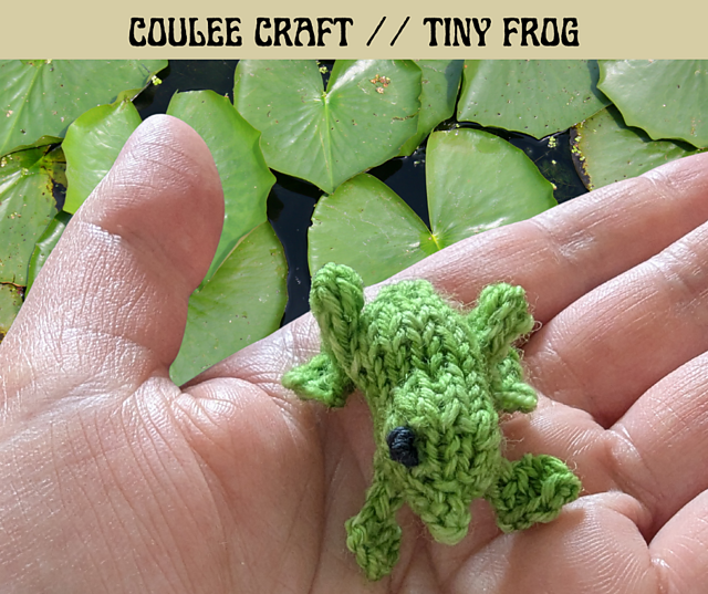 Tiny Frog