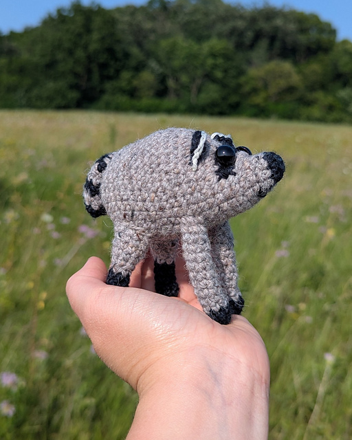 Jimothy Seattle Raccoon