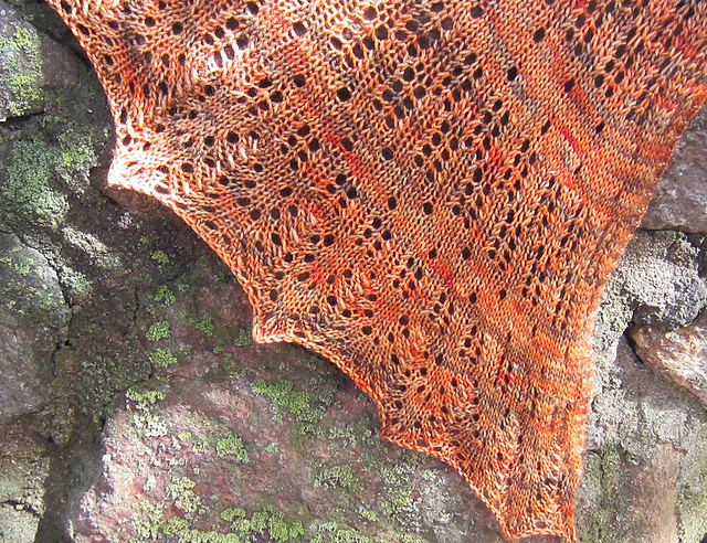 Feathered Shawl
