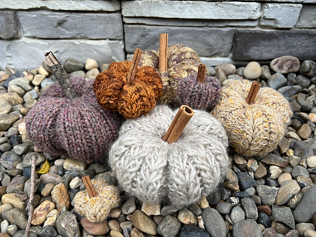 Fields of Gold Pumpkins