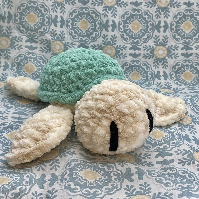 Flopsy Turtle