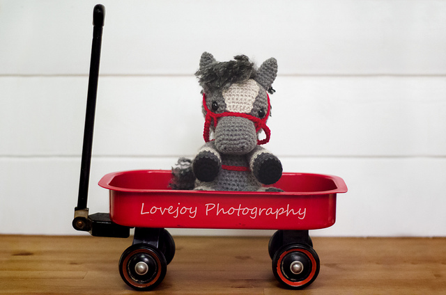 Leah the horse