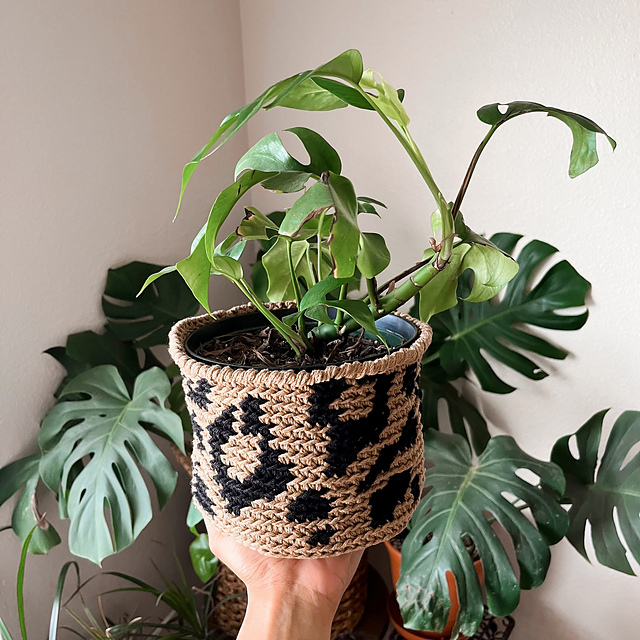 Luxe Leopard Basket