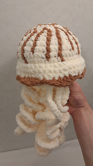 Compass Jellyfish