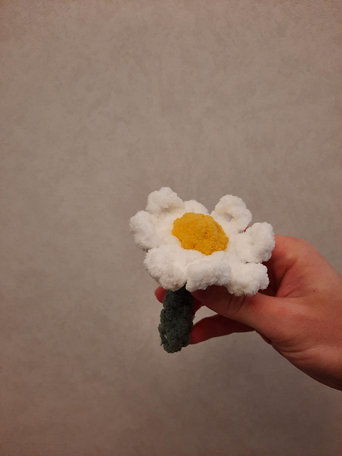 Daisy