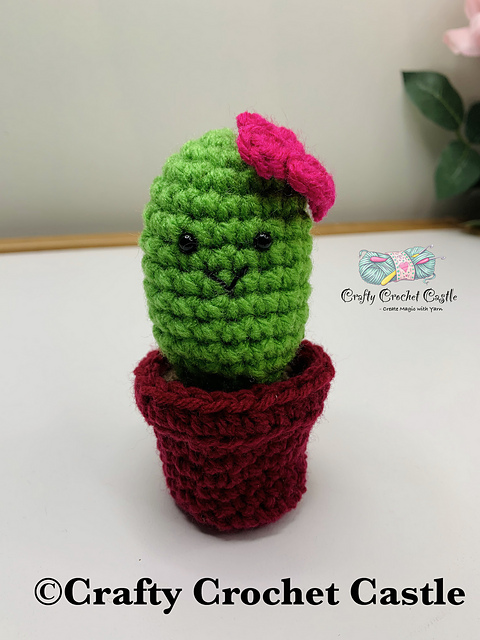 Potted Cactus with Storage
