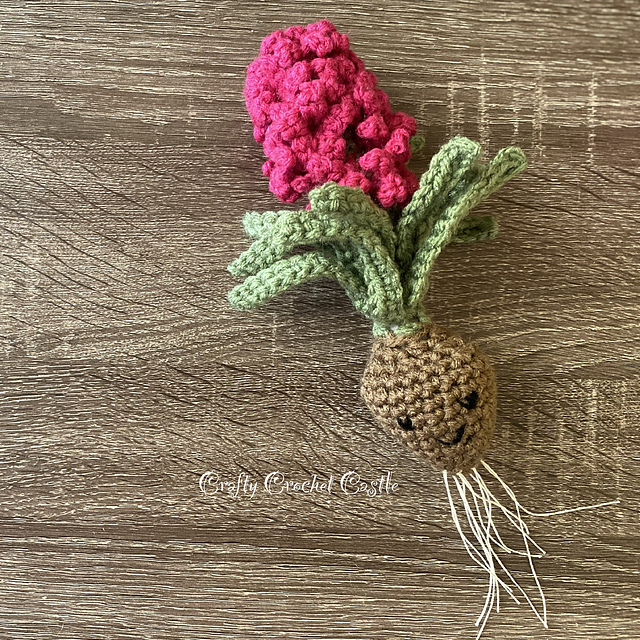 Hyacinth Bulb
