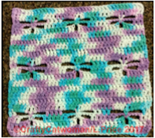 Dan's Dragonfly Dishcloth