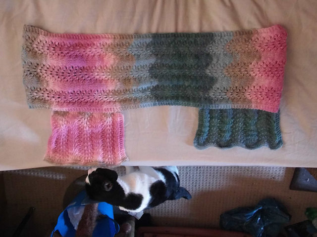 Shorty's summer scarf