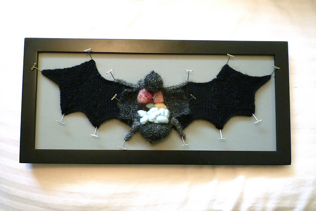 Knitted Bat Specimen