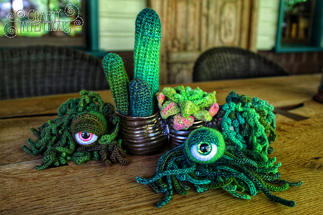 Succulent Cactus Eyeball Plants