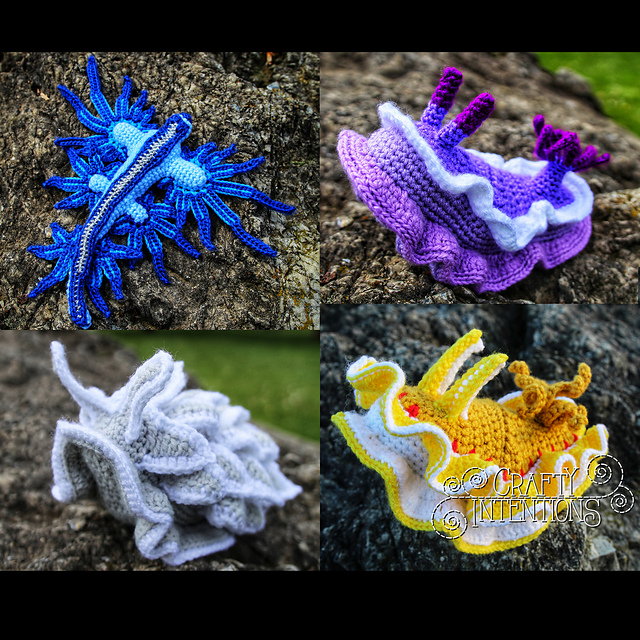 Nudibranch: Set 1