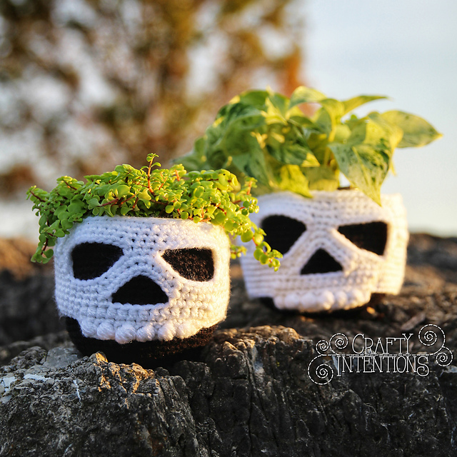 Ravelry: Hanging Planter Cozy Skulls pattern by Megan Lapp