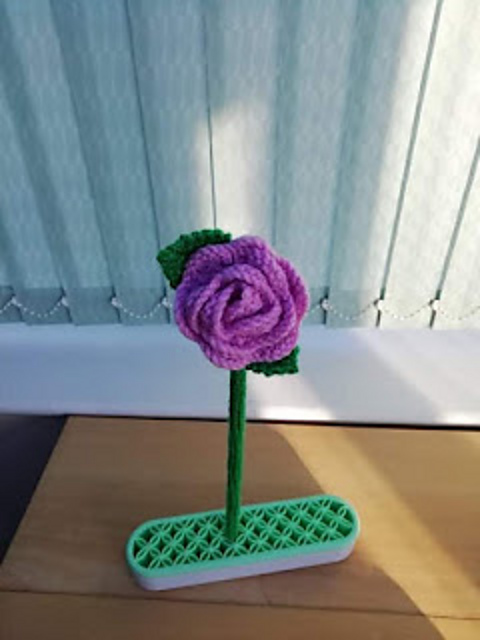 Rose flower head