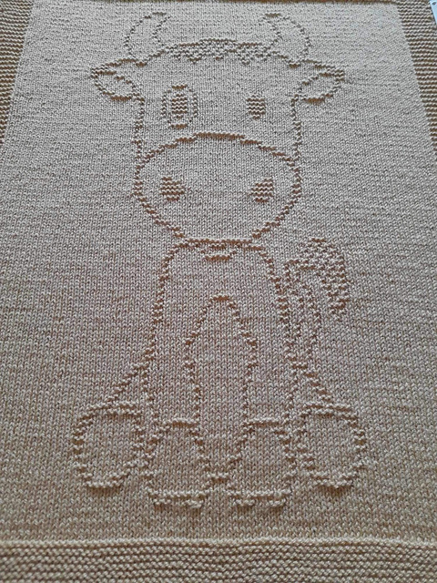 Buffalo Billy blanket