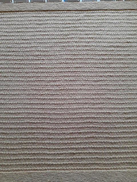 Indy's blanket