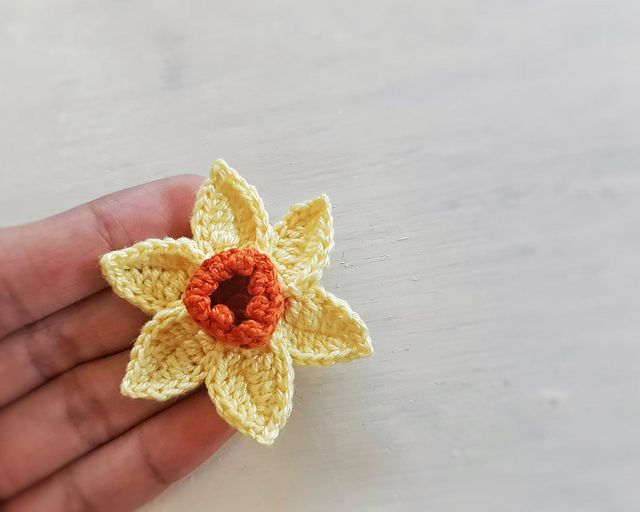 Daffodil Flower