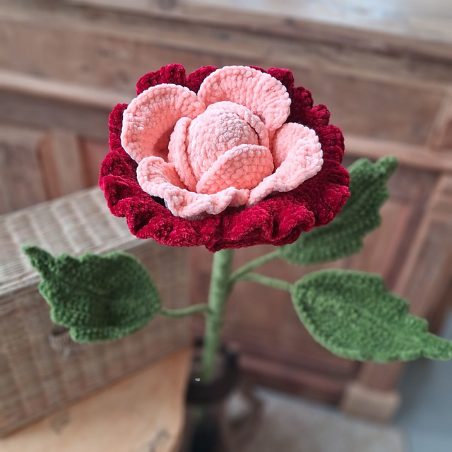 Velvet Rose "Velvet Queen"
