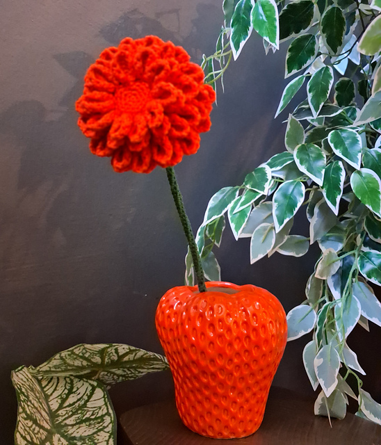 "Flame Dahlia" Interior Flower