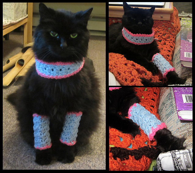 Marie Antoinette Cat Leg Warmers and Cowl