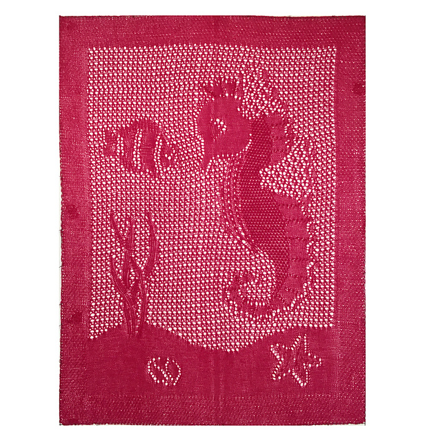Baby Seahorse Blanket