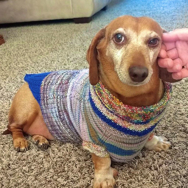"Lucky Be A Lucy" Dog Sweater