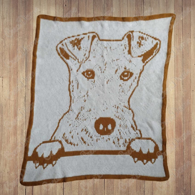 Peekaboo dogs Fox Wire Terrier