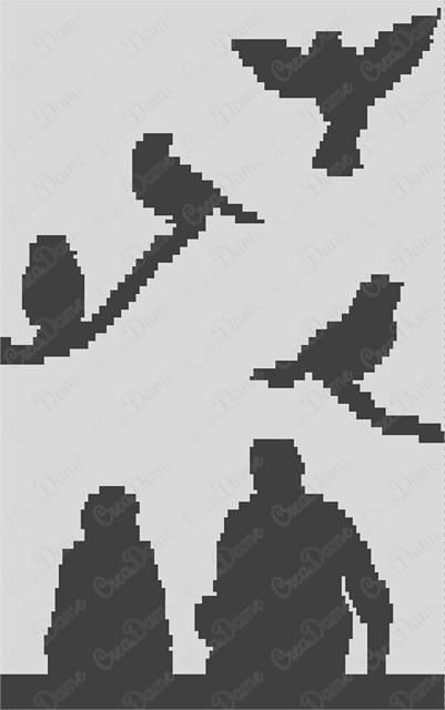 Bird Watching