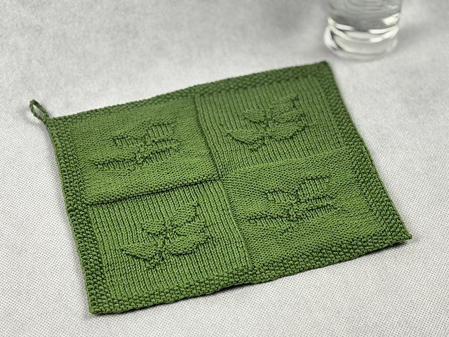 Washcloth Branch - Health