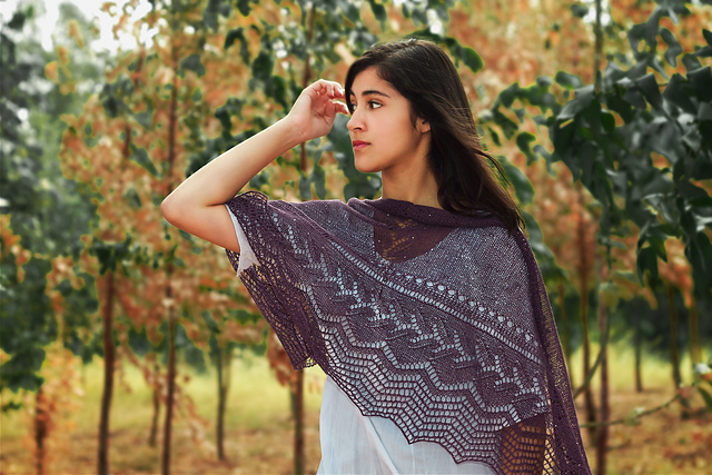 Noche Estrellada Shawl