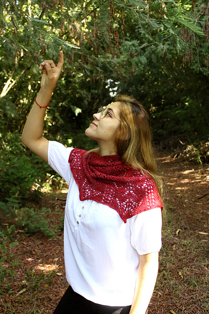 Latifolia Cowl