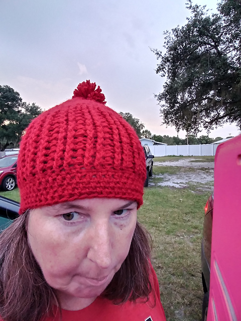 Pork pie beanie