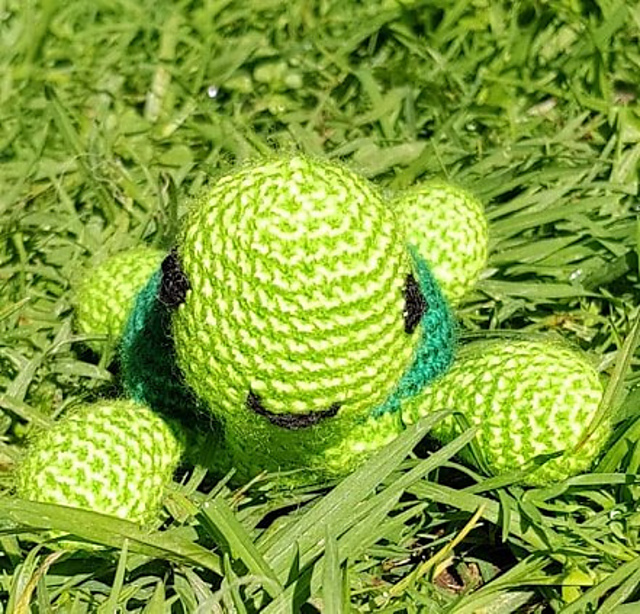 Franky the Turtle