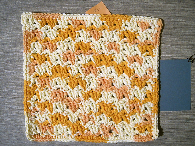 Dishcloth #22