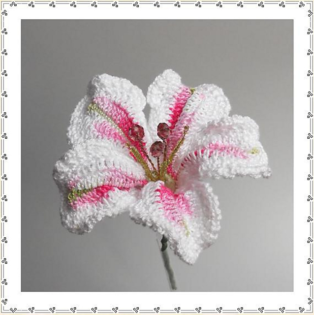 Lily A