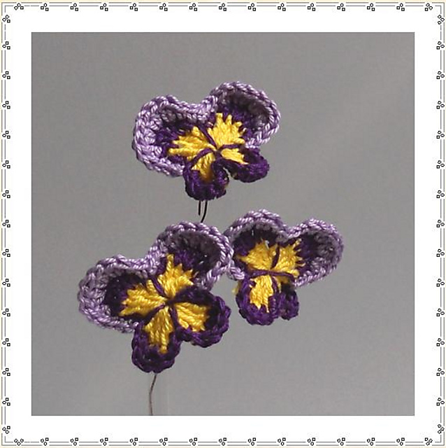 Pansy