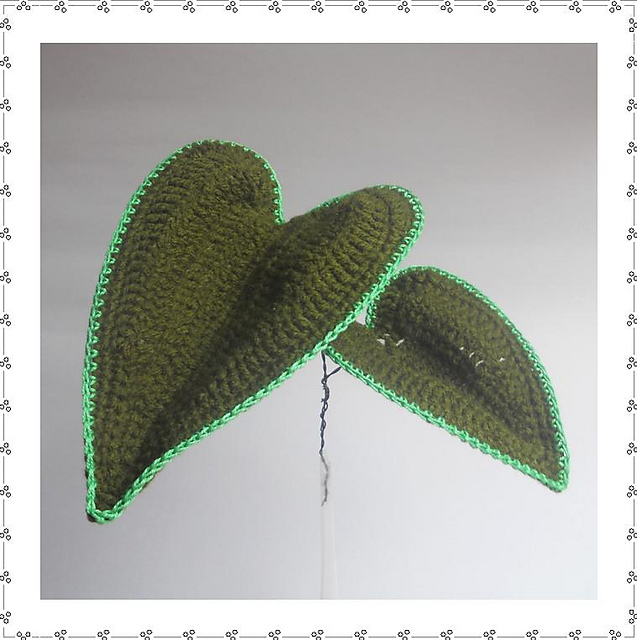 Heart Leaf