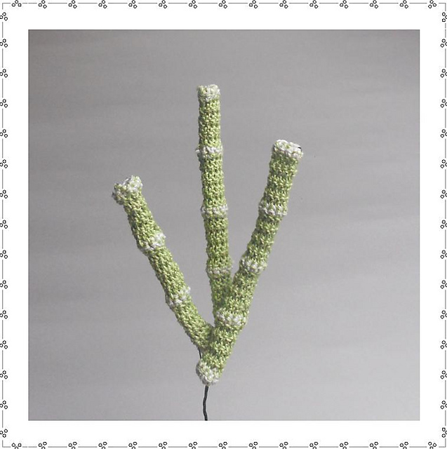 Bamboo