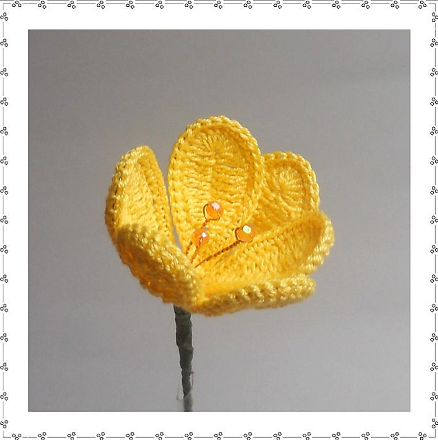 Crocus
