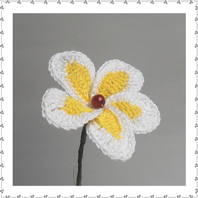Plumeria