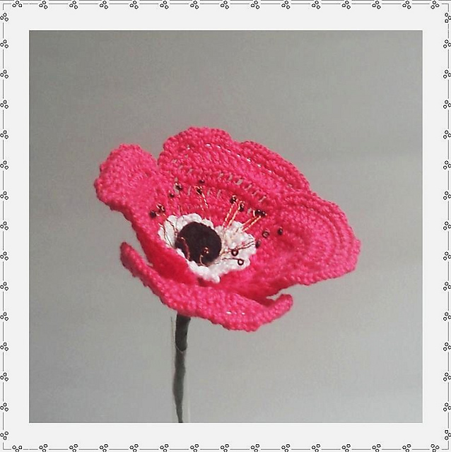 Anemone