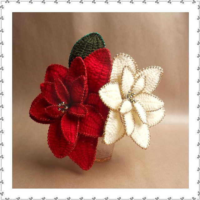 Poinsettia