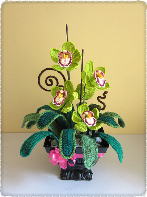 Orchid Cymbidium