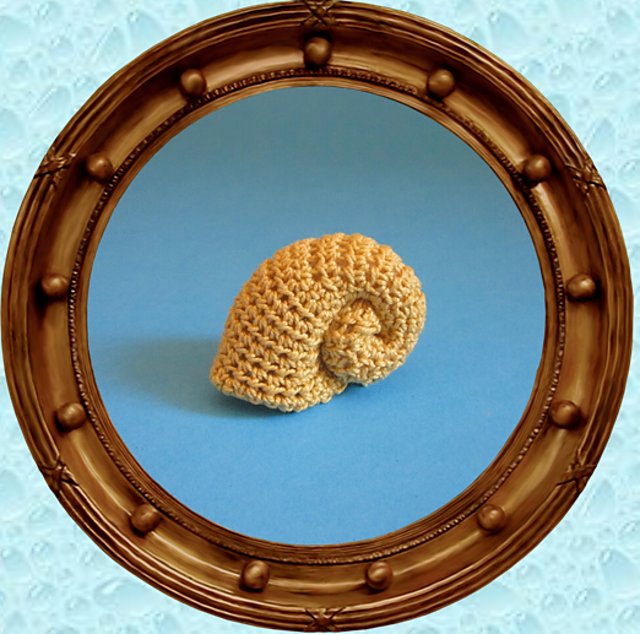 Spiral Shell