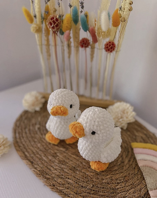 Duck