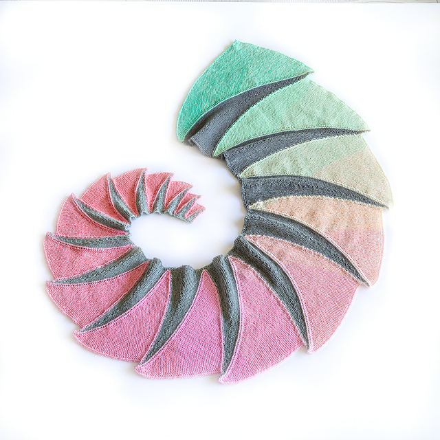 Ammonoid