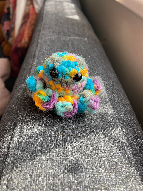 Baby Octopus