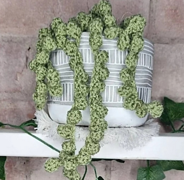 String of Pearls Hanging Plant